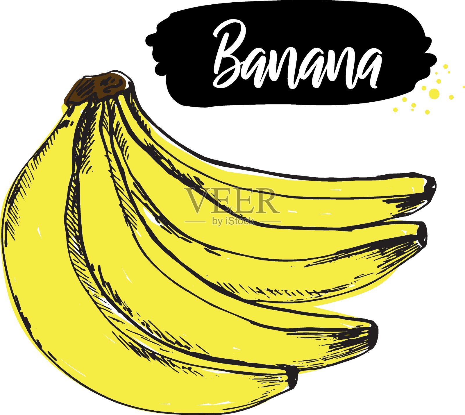 矢量手画香蕉。孤立的香蕉果实。雕刻风格的插图。热带水果。丰富多彩的时尚草图。用于菜单、市场、装饰、标签等。插画图片素材