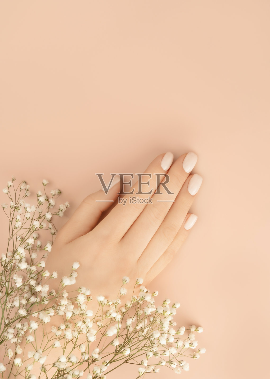 粉彩背景上点缀着小白花的女性双手装饰设计。复古的粉色礼品卡。平的风格。副本的空间。照片摄影图片