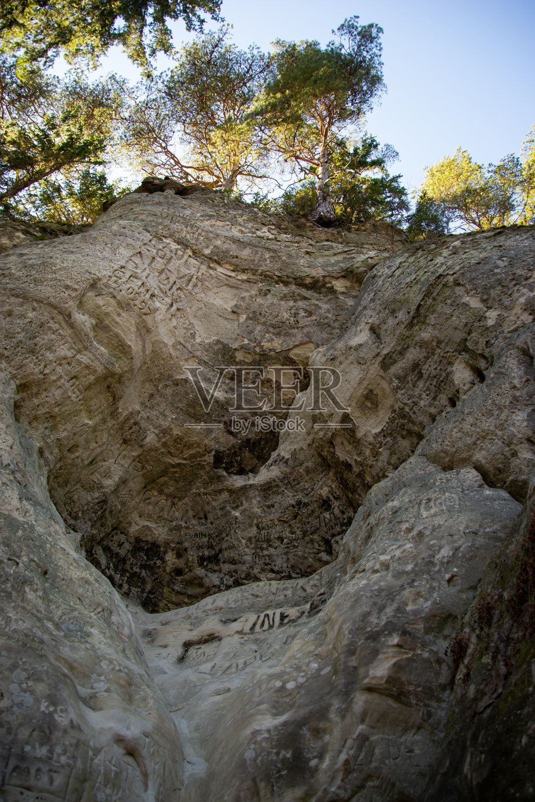 砂岩悬崖俯瞰。在悬崖的边缘上长着一棵树，它的根长在悬崖的边缘上。Bllue天空照片摄影图片