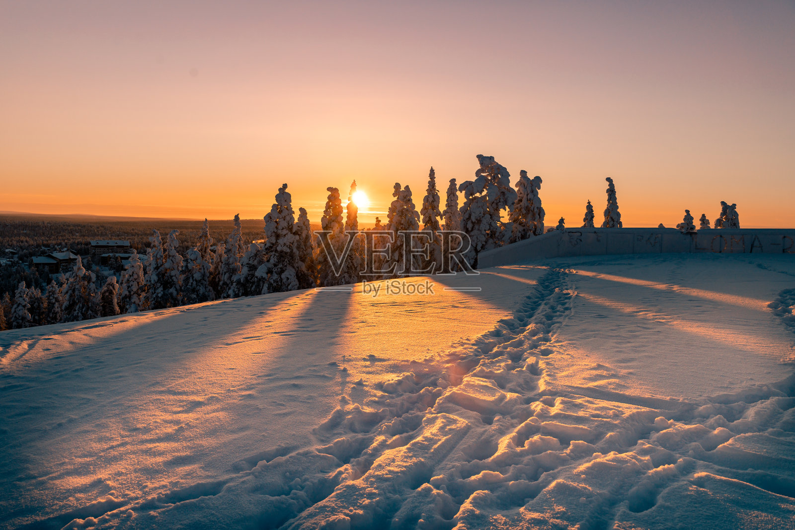 冷杉带着日出，冬天照片摄影图片