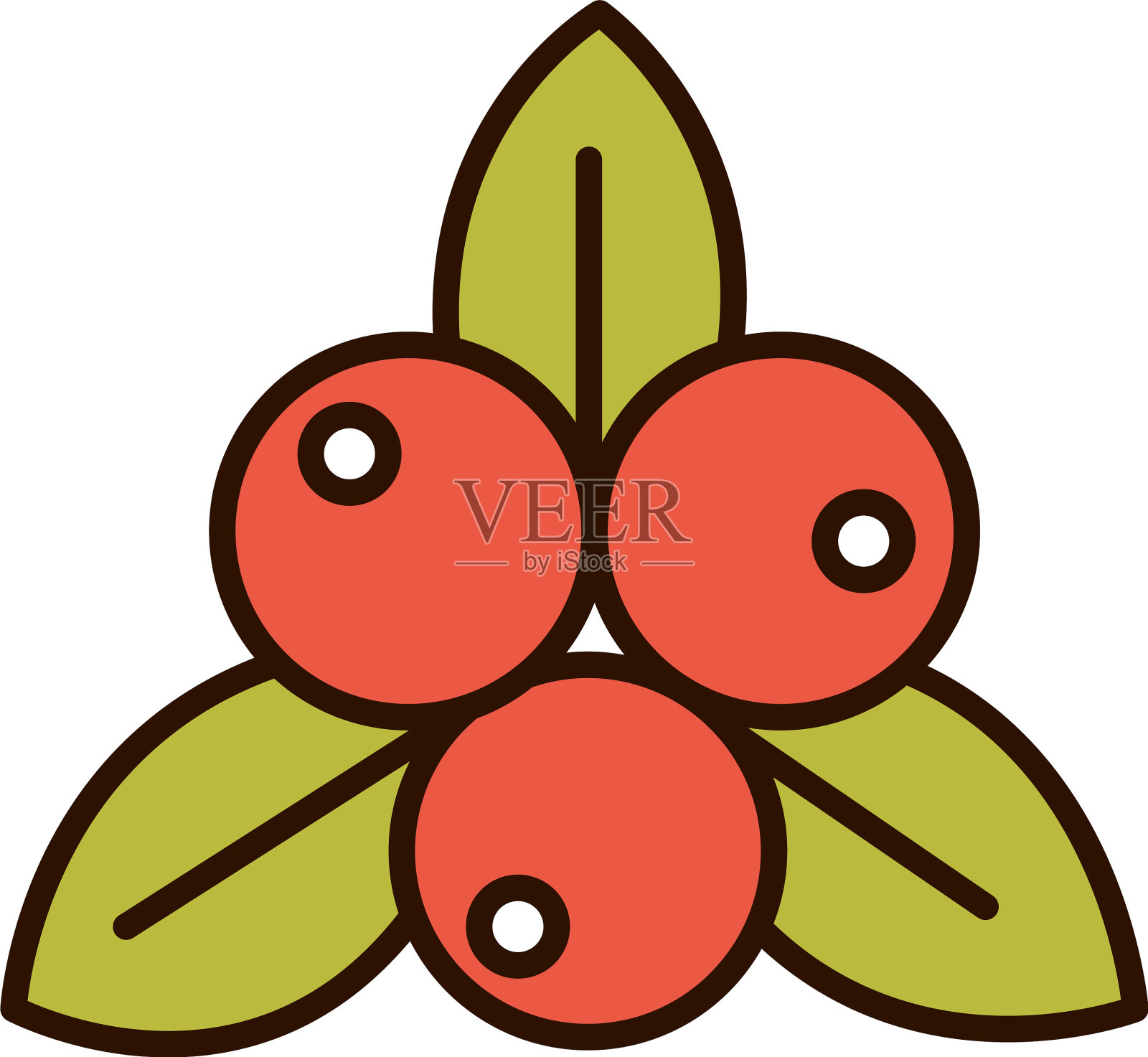 水果叶自然新鲜线填充图标设计元素图片