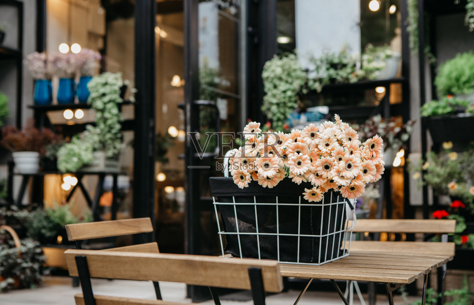舒适的花店和生态有机咖啡馆装饰着不同的植物，外部室内照片摄影图片