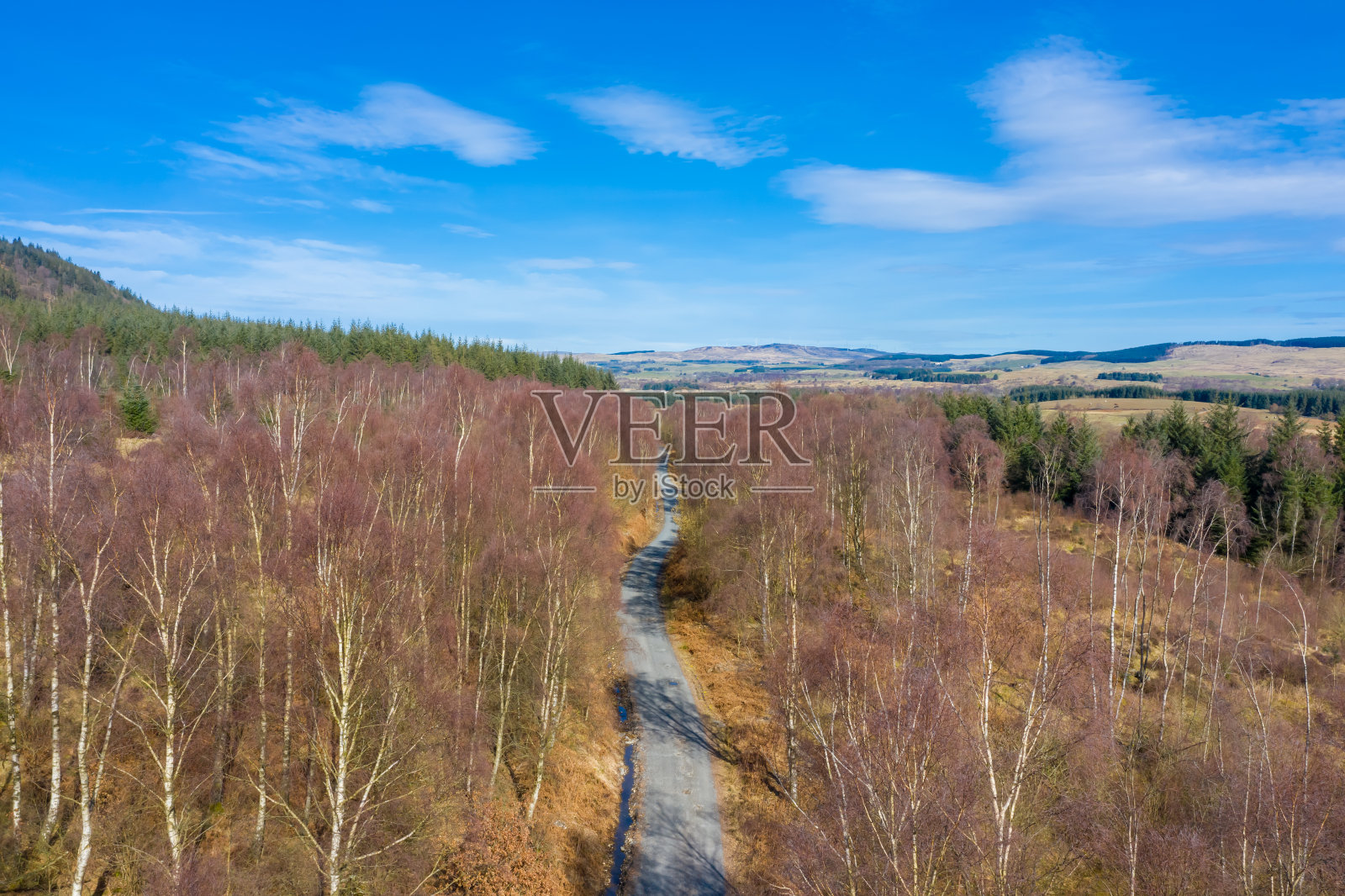 苏格兰森林道路的高角度视图照片摄影图片