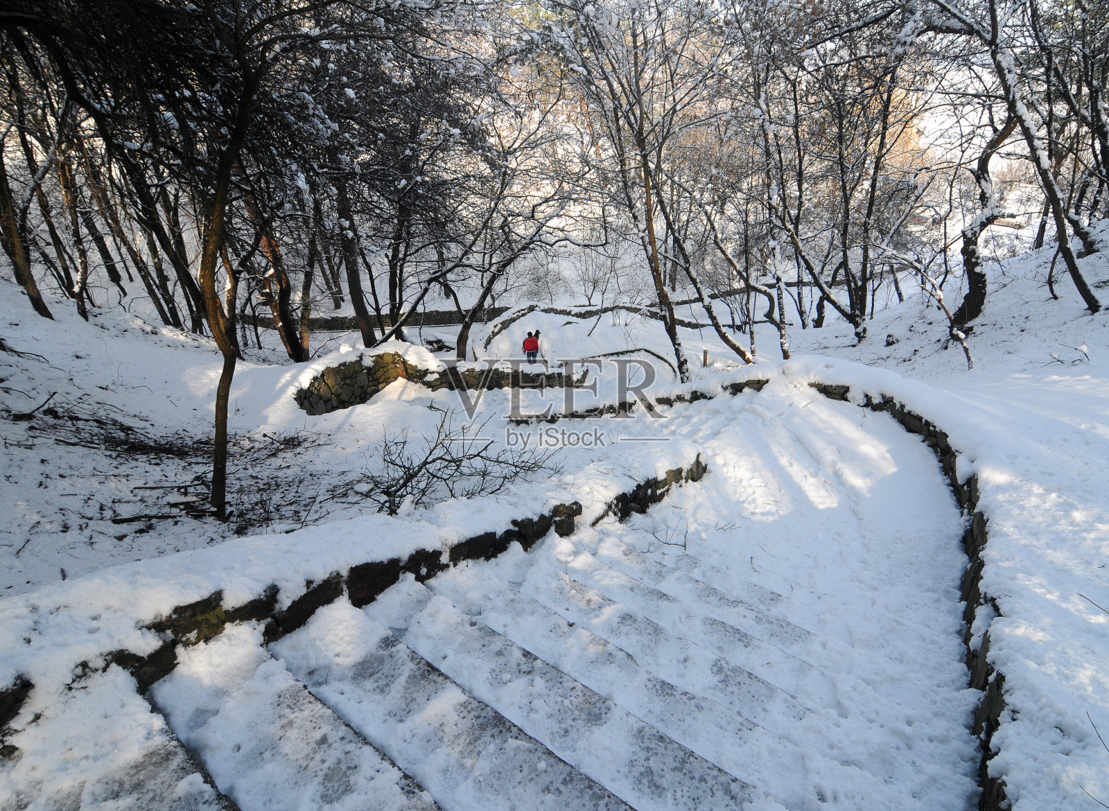 乌克兰切尔卡西冬季公园里被雪覆盖的蜿蜒楼梯照片摄影图片