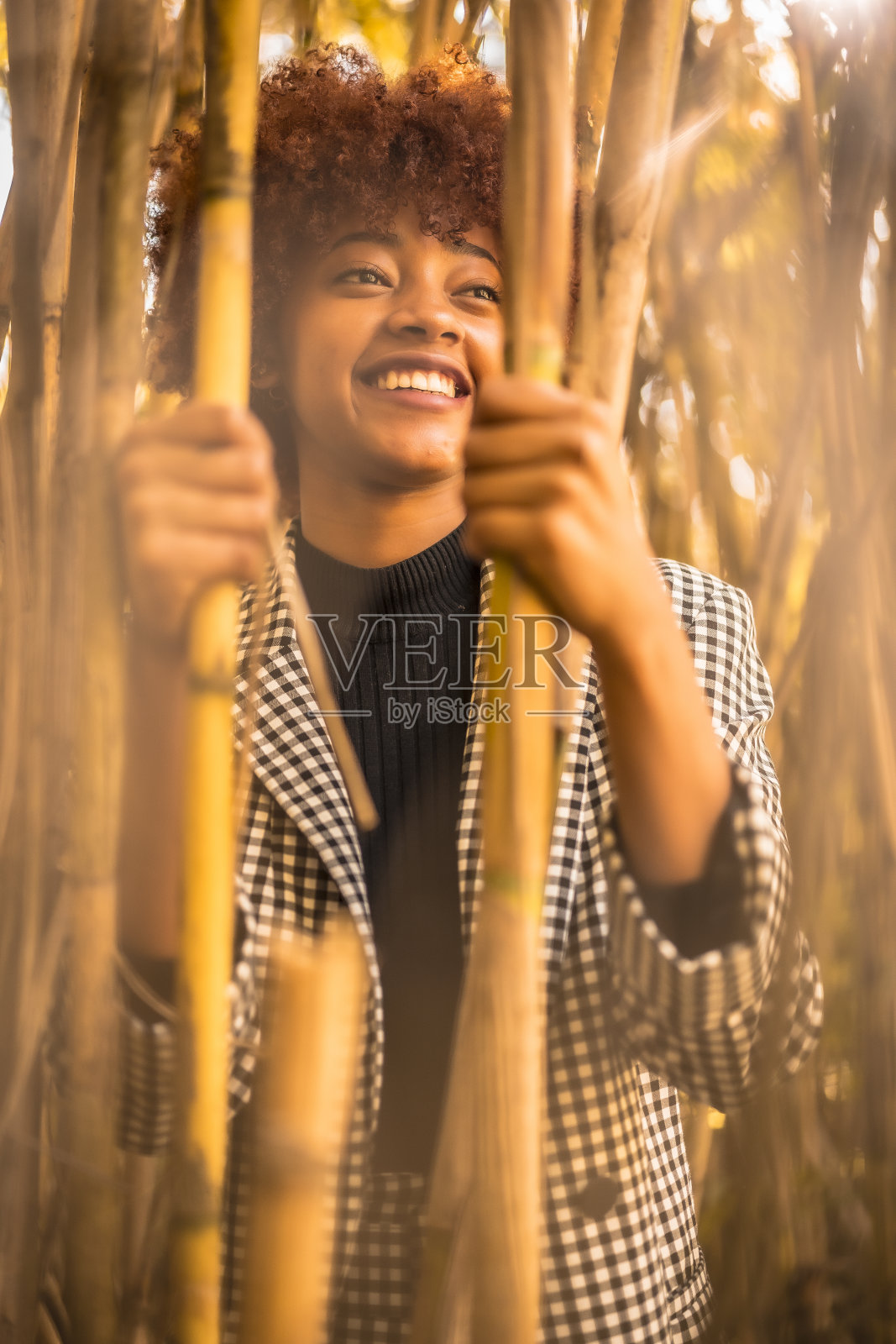 一名多米尼加模特在竹子里抓着它们照片摄影图片