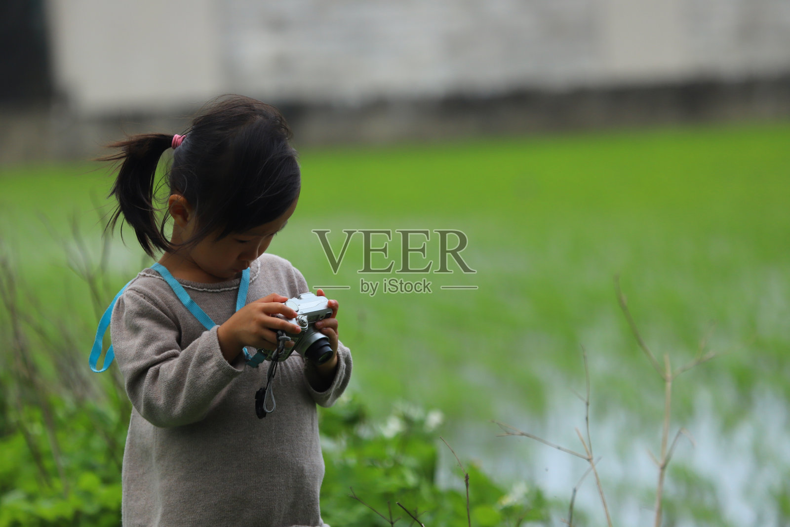一个女孩在农场里用数码相机拍照照片摄影图片