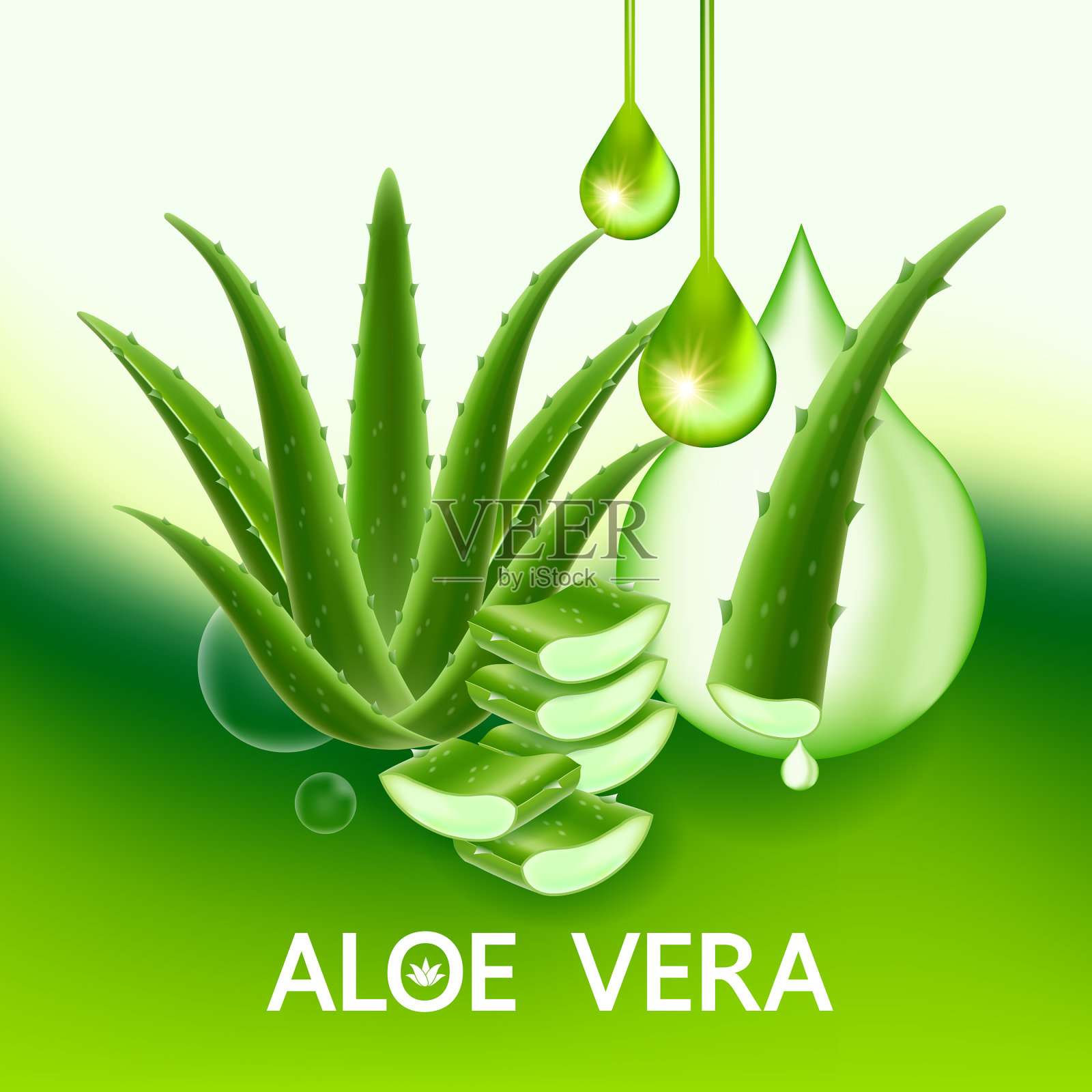 芦荟胶原蛋白和血清插画图片素材