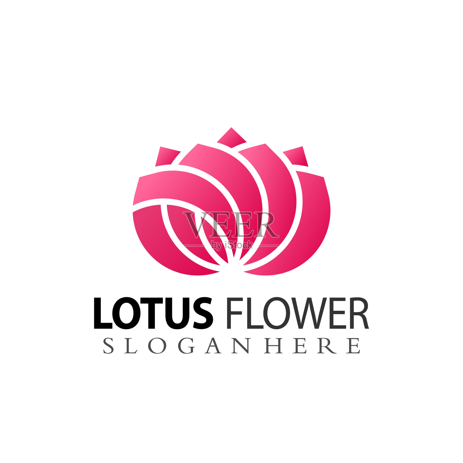 荷花图案色彩缤纷插画图片素材