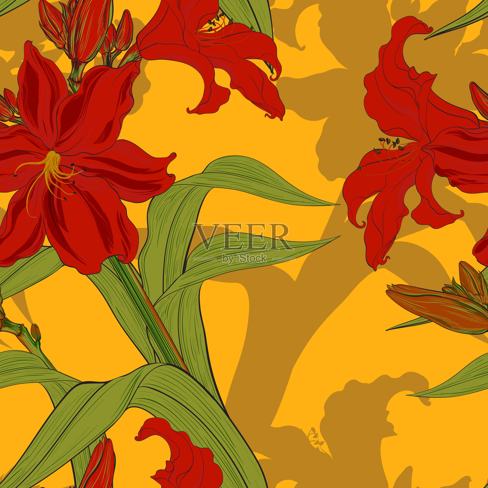 无缝背景黄花菜花和花蕾插画图片素材