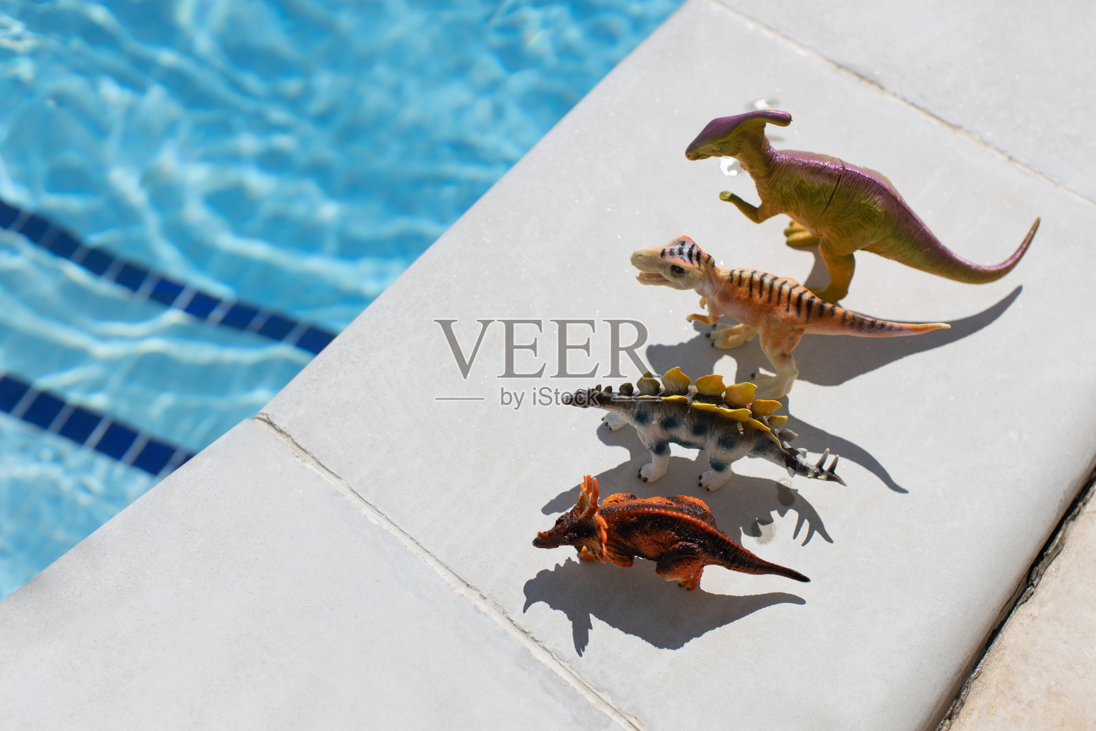 在阳光明媚的日子里，四只小玩具恐龙在游泳池旁排成一排，拷贝空间。暑假、童年、团聚、日光浴、健康的概念。侧视图。水平照片摄影图片