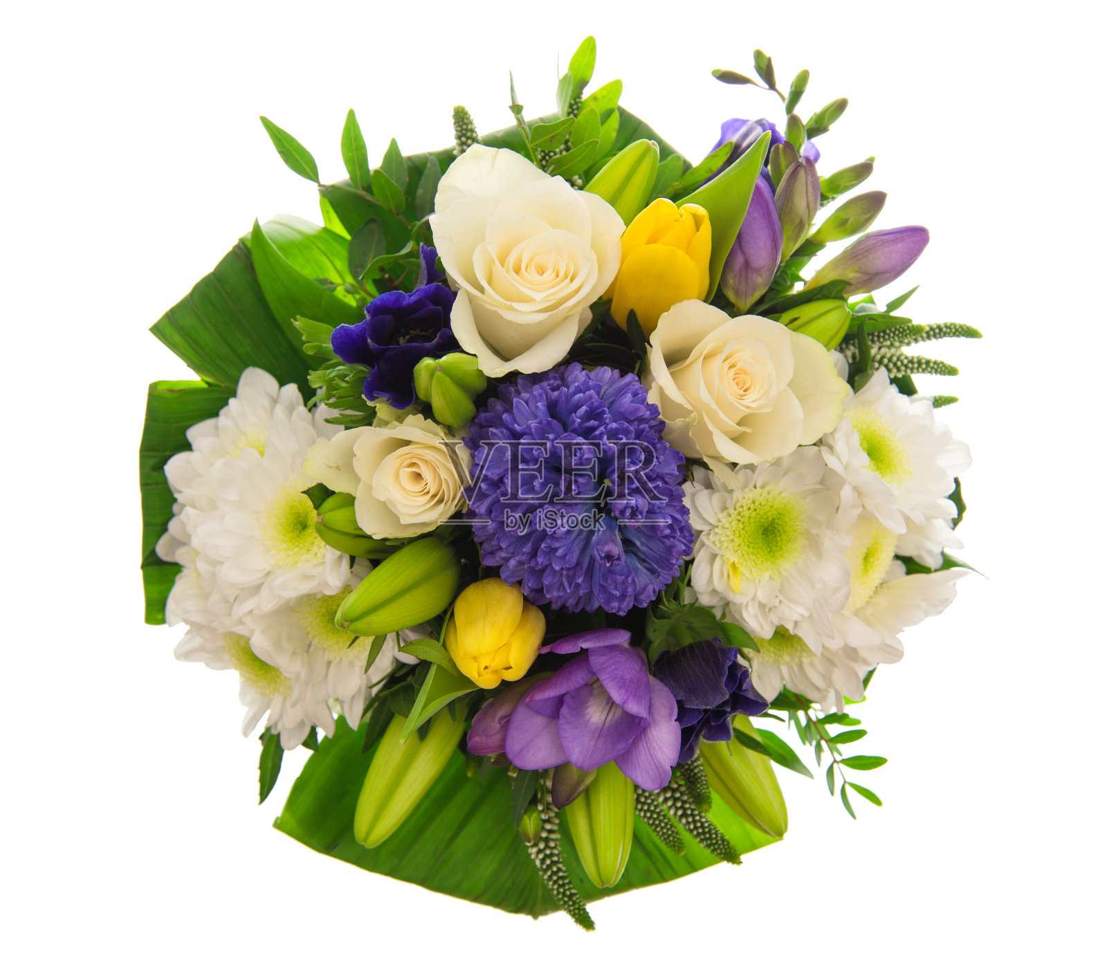 玫瑰、郁金香、风信子、花束、白色背景照片摄影图片