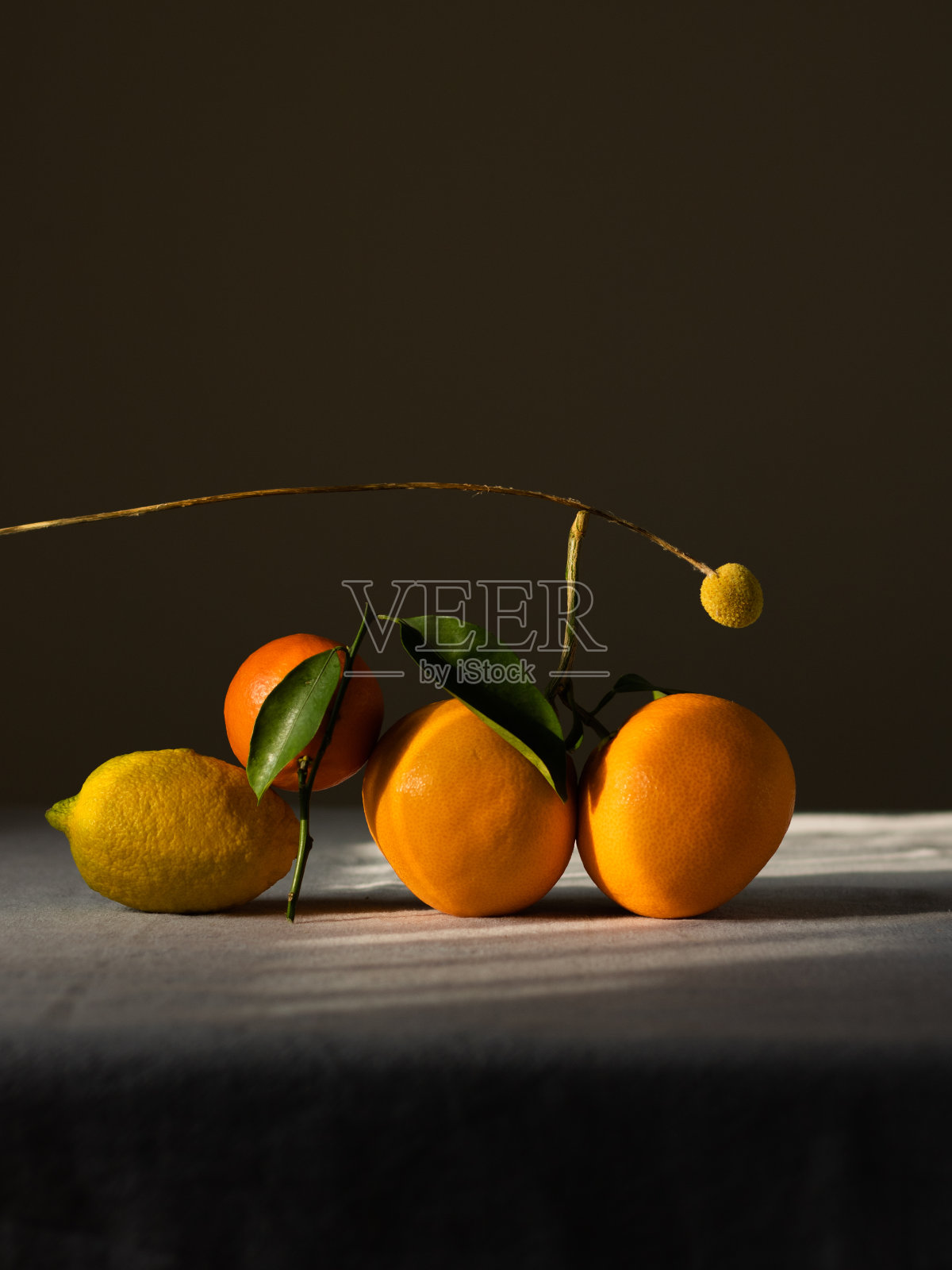橙子橙子和一个柠檬的静物画。它们躺在桌子上。黑暗的彩色照片照片摄影图片