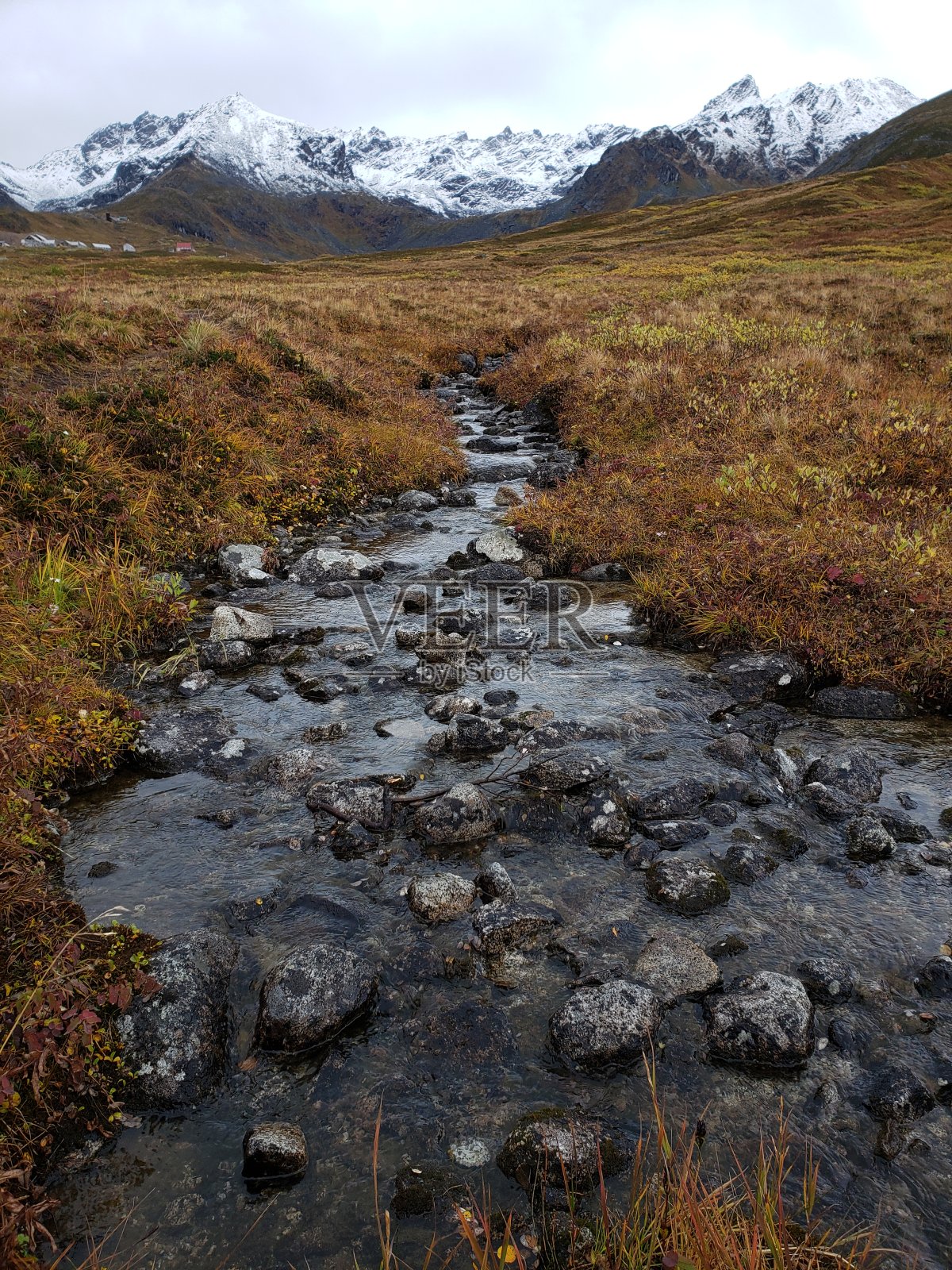 阿拉斯加照片摄影图片