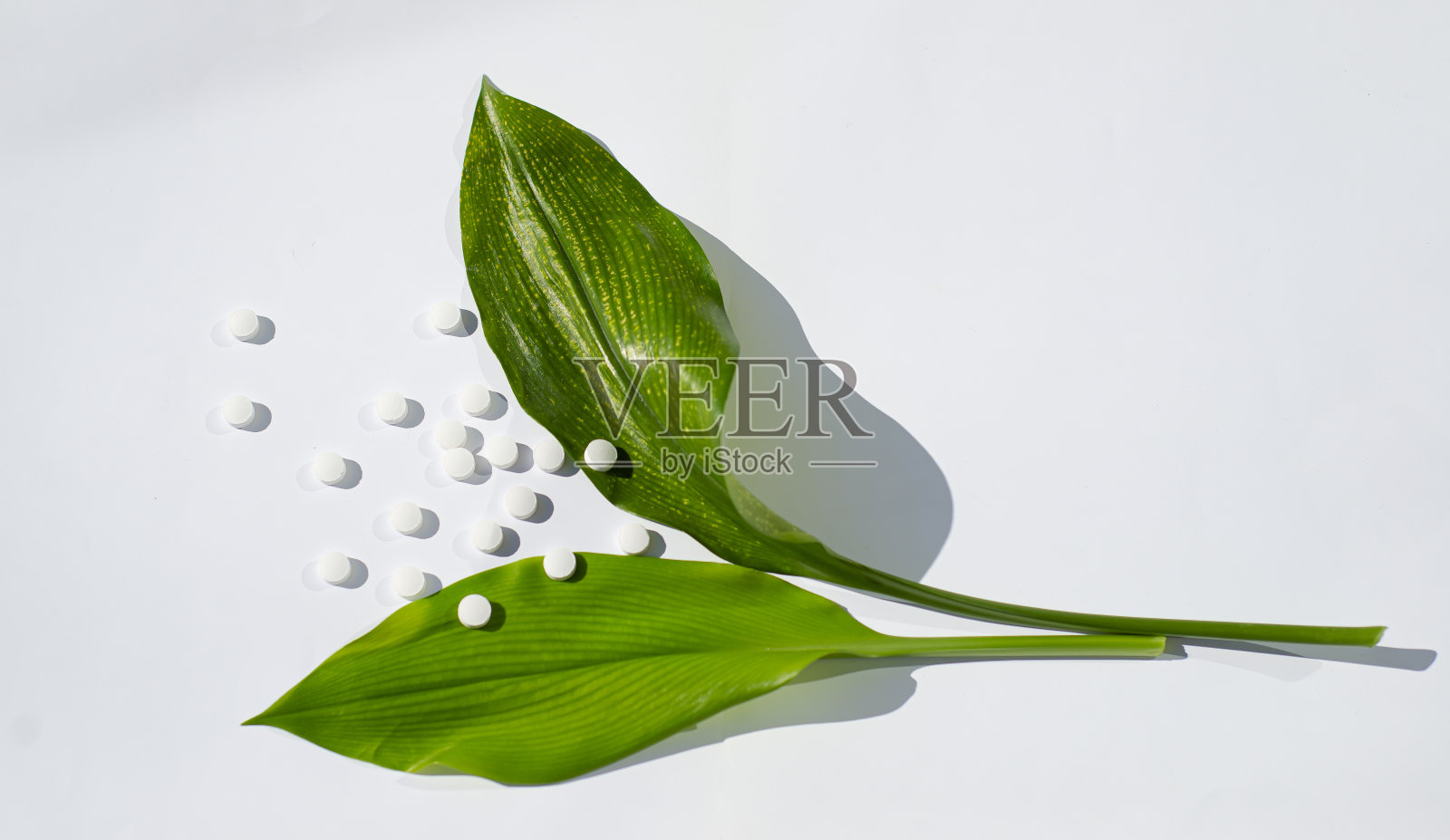 两片绿色的大片和白色的圆片。白色背景上的药丸上的花。照片摄影图片