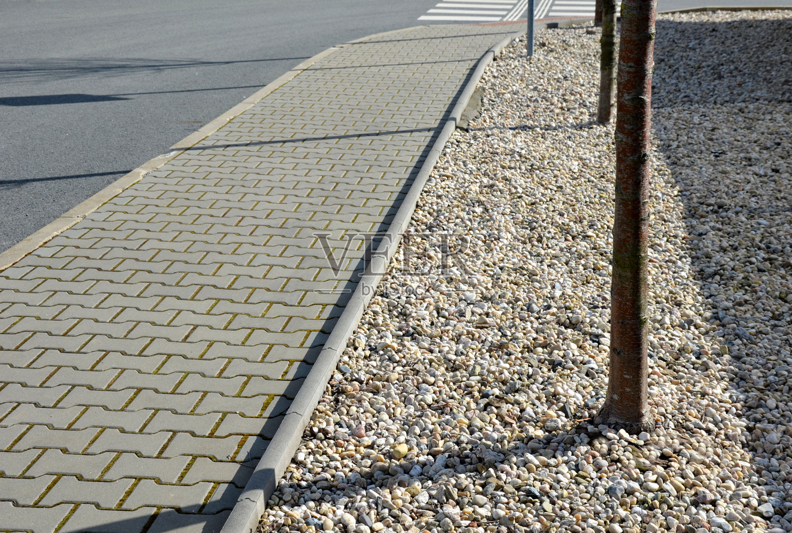 行道树在道路和混凝土栅栏之间排成一排。用鹅卵石铺一大片区域会使街道更加明亮和正式。纯代表解决方案照片摄影图片