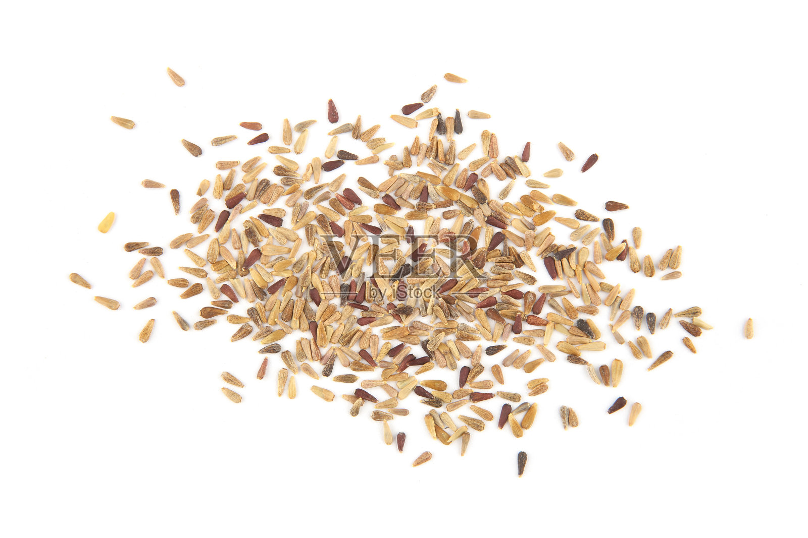 在白色背景上分离的紫菀种子。照片摄影图片