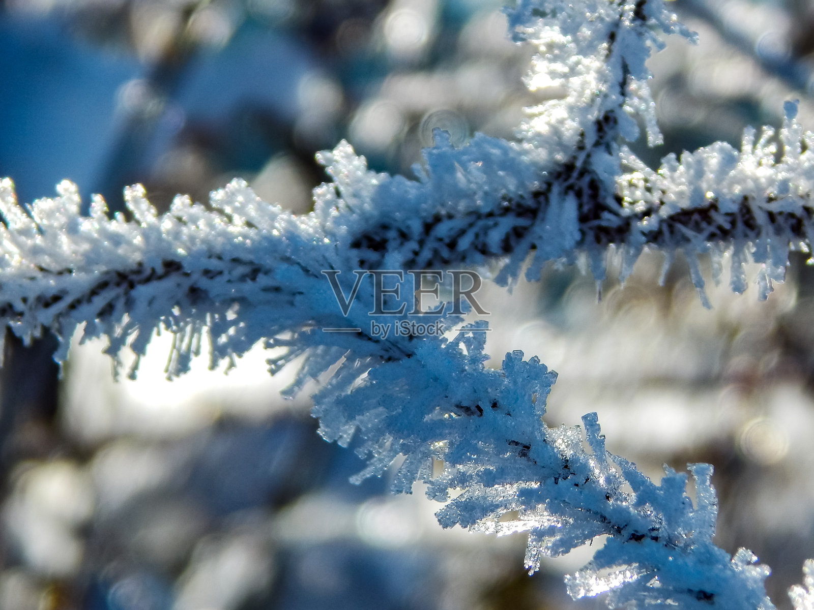 大自然披上了一层冰雪照片摄影图片