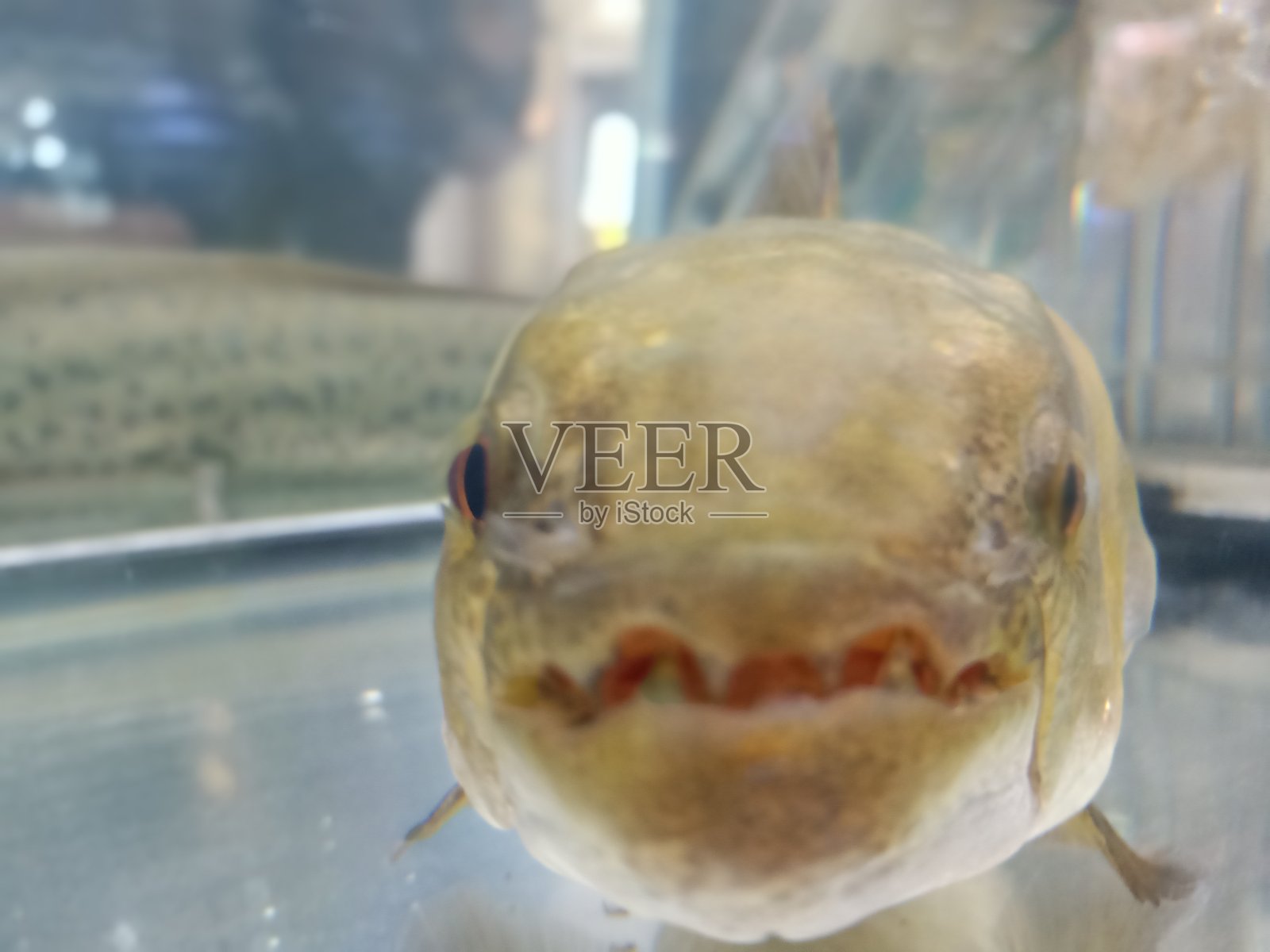 嗨……照片摄影图片