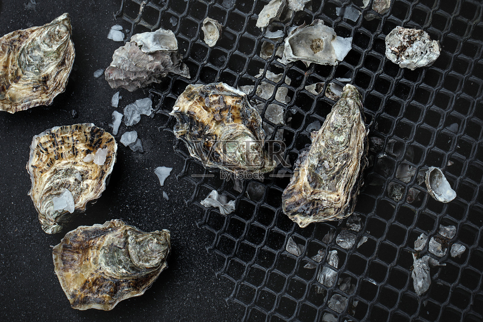 正宗的金属渔网上的生牡蛎加冰照片摄影图片