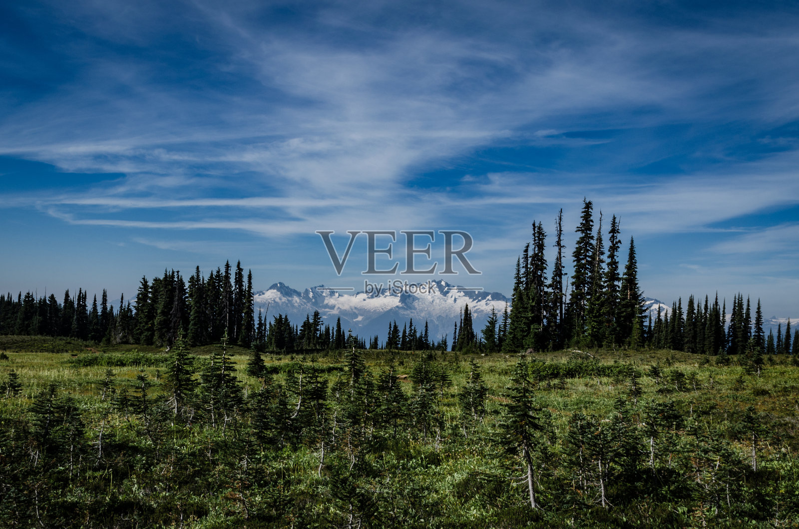 加里波第省立公园照片摄影图片