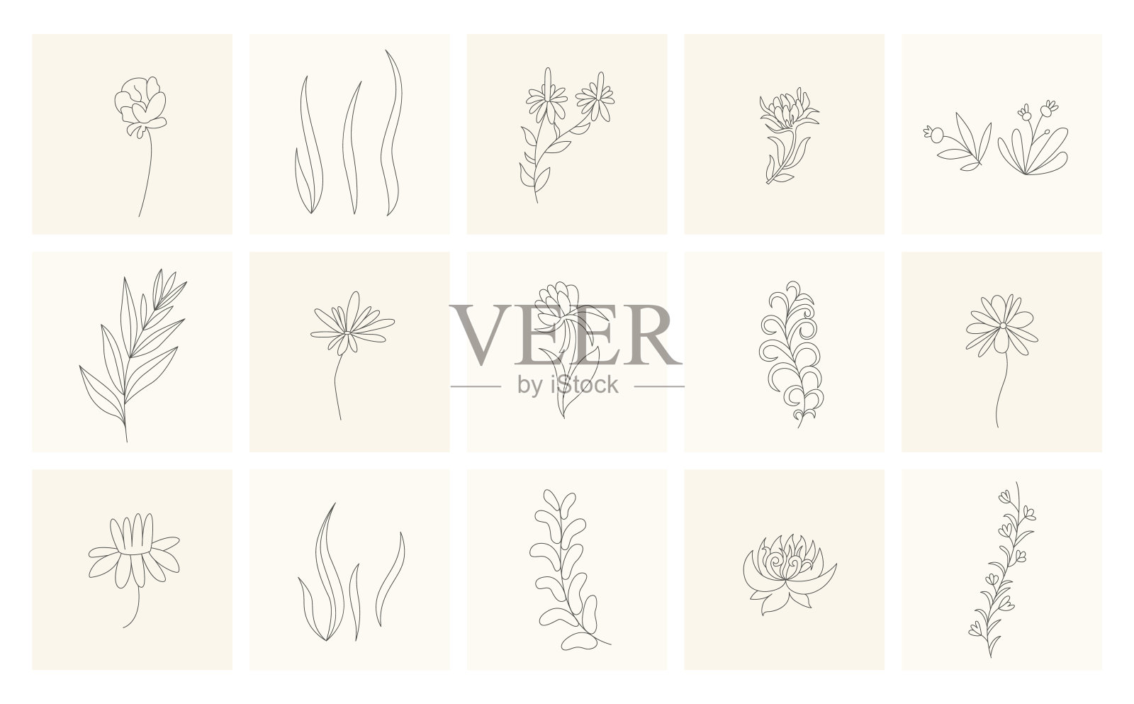 花卉元素。收集手绘植物。集设计元素于素描风格的花枝。植物图标插画图片素材