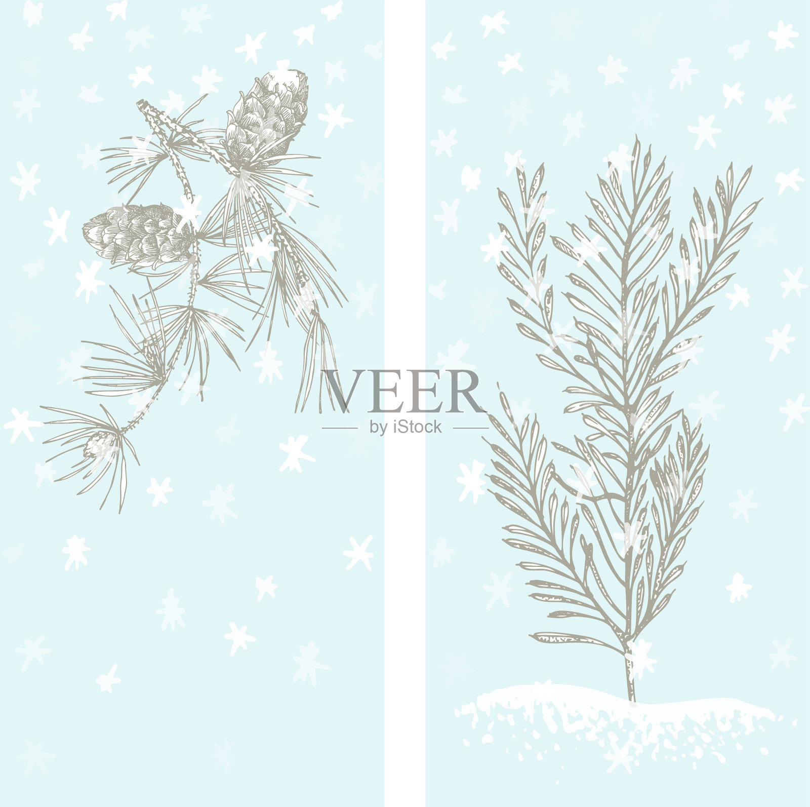 用紫杉和松树制作圣诞贺卡插画图片素材