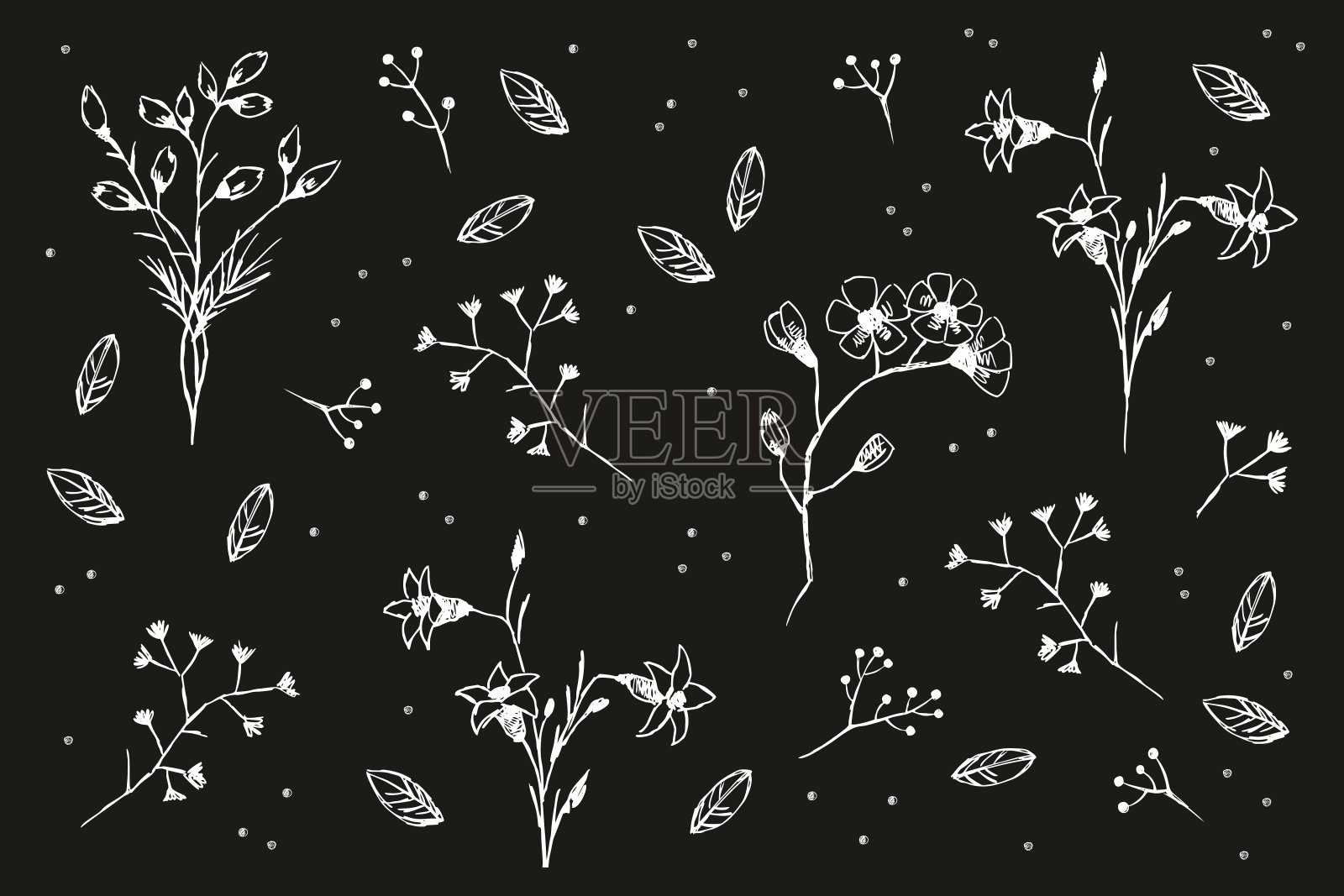 黑色的花。插画图片素材