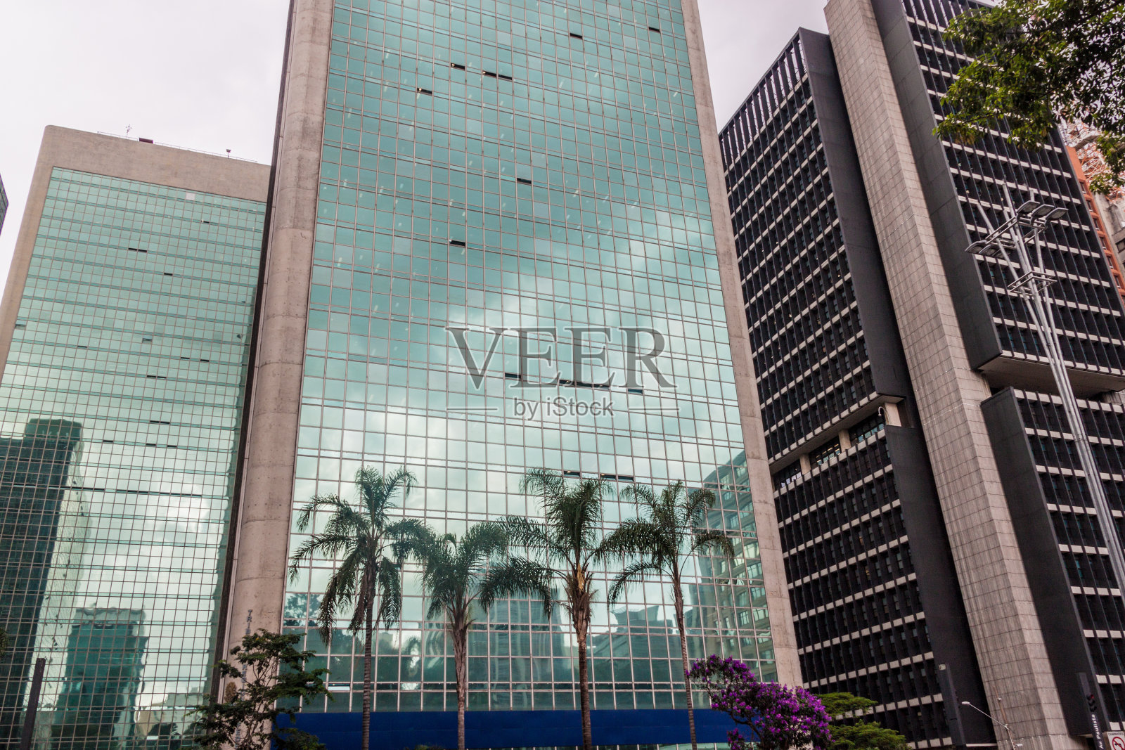 巴西圣保罗的棕榈树和现代玻璃建筑照片摄影图片