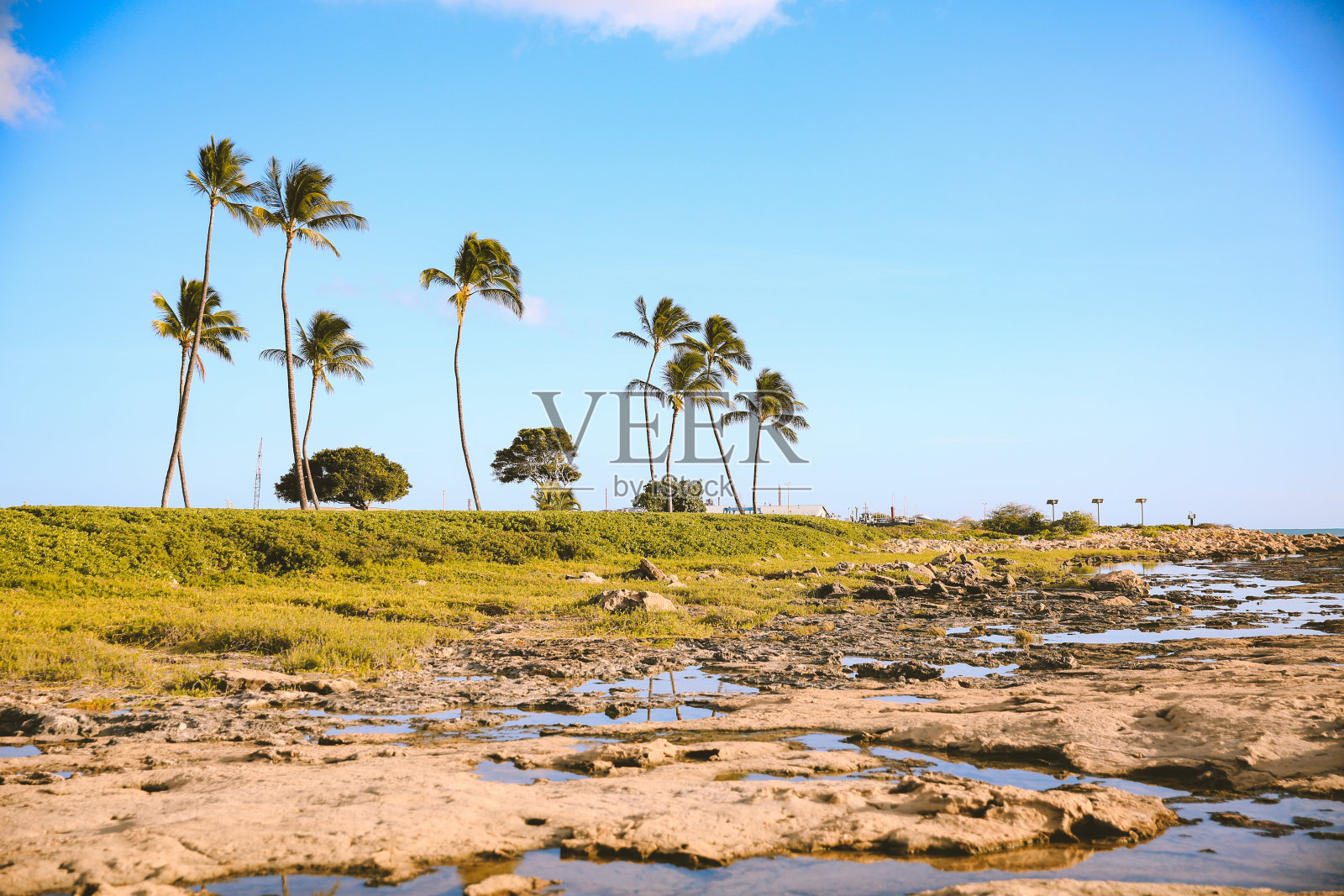 夏威夷瓦胡岛奥林纳海滩公园照片摄影图片