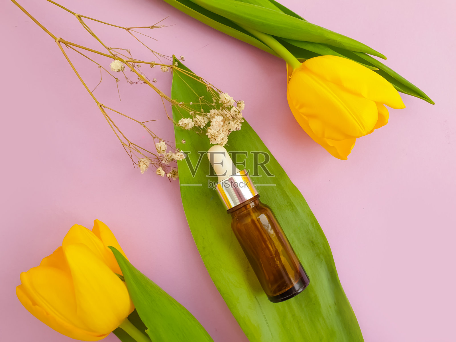 奶油化妆品花郁金香在彩色的背景照片摄影图片