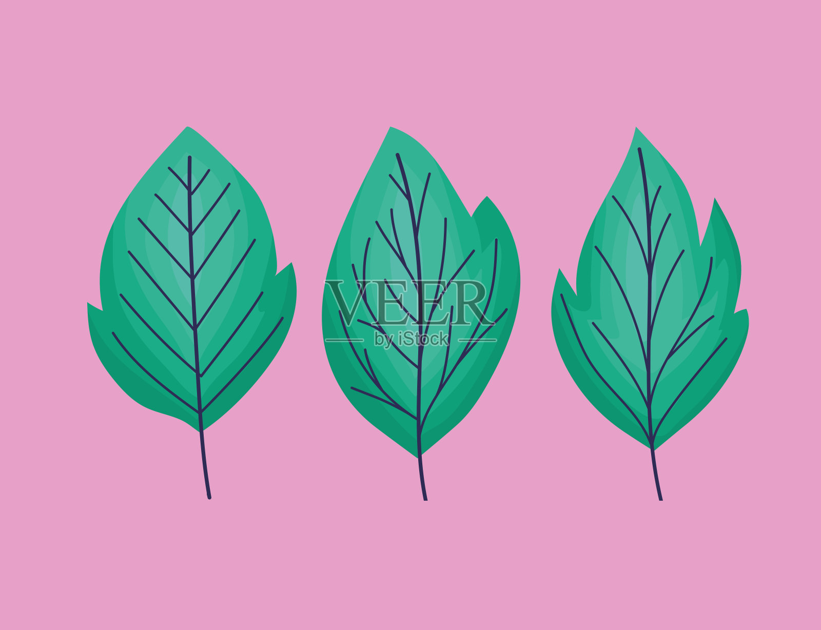 三个绿色的树叶插画图片素材