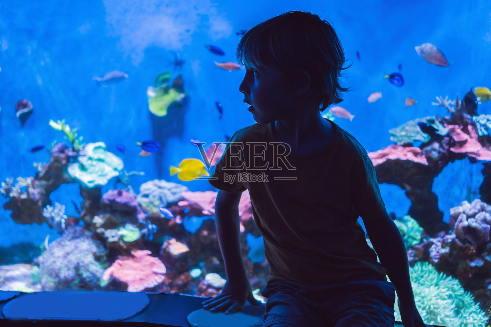 小男孩，孩子们在水族馆里看着鱼群游泳，孩子们在水族馆里享受水下生活照片摄影图片