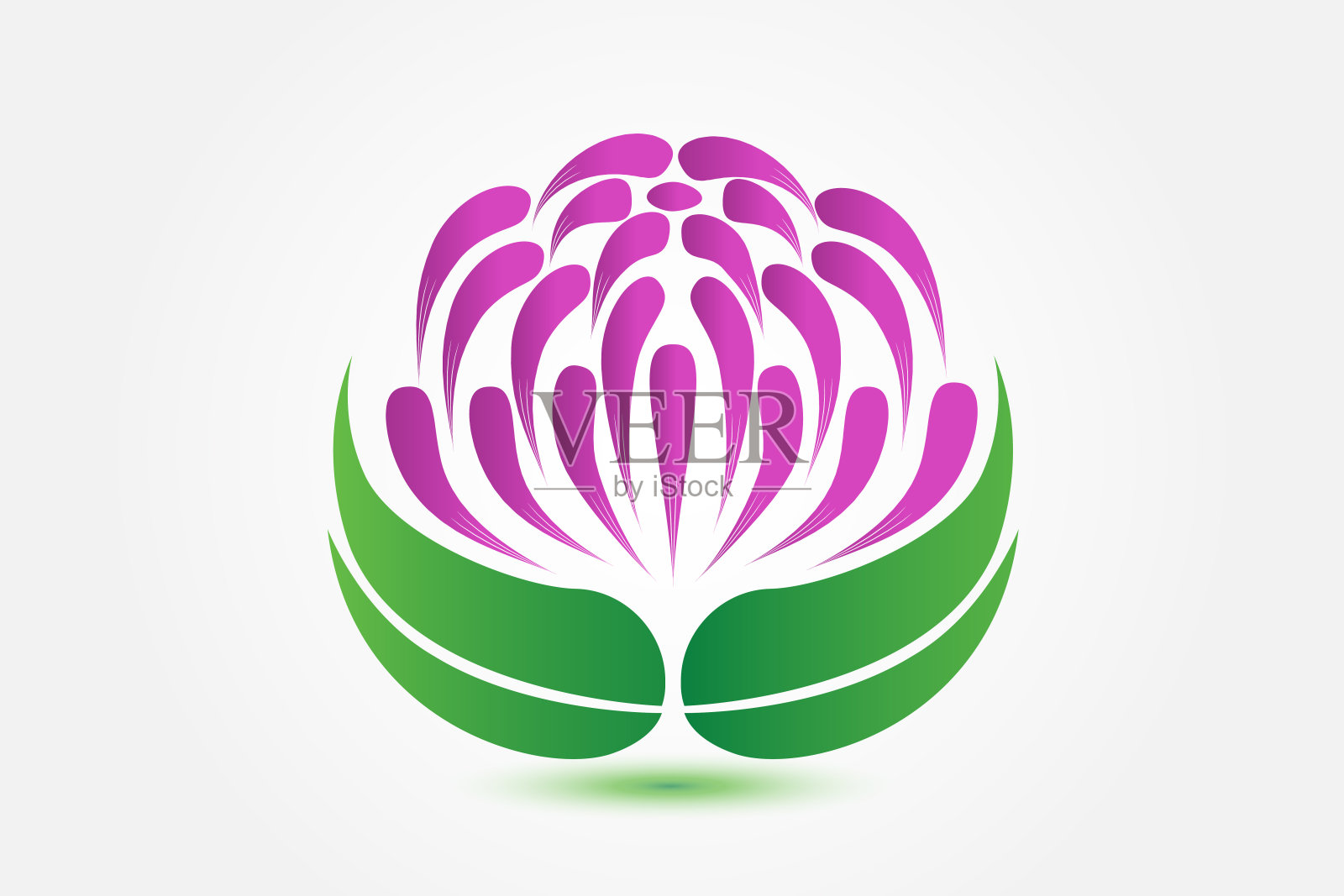 荷花商务卡矢量设计插画图片素材