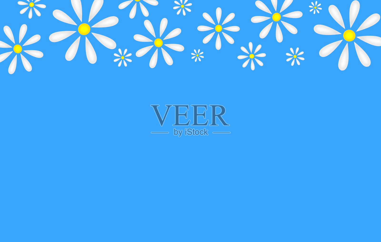 雏菊插画图片素材