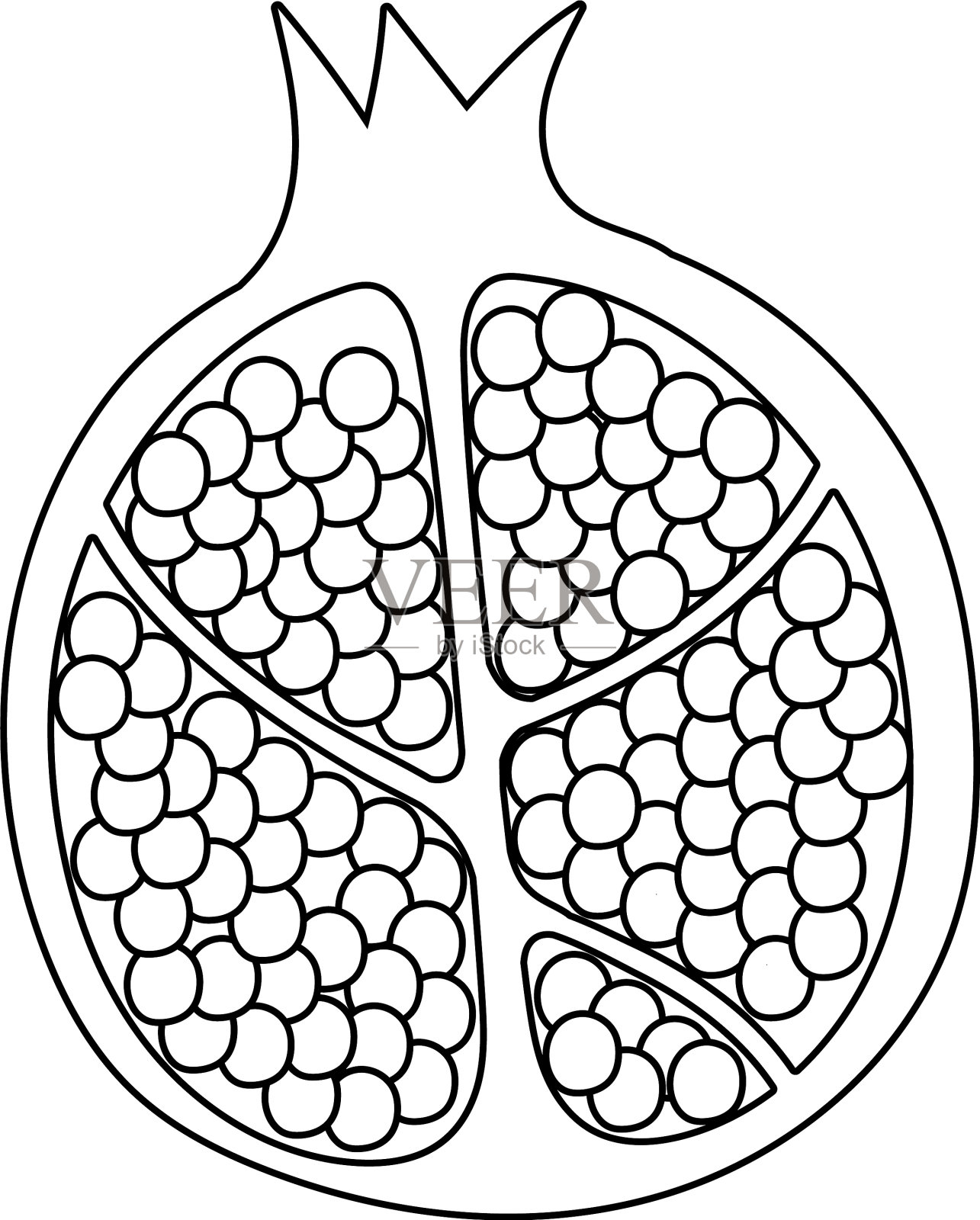半石榴水果清新自然的线条风格设计元素图片