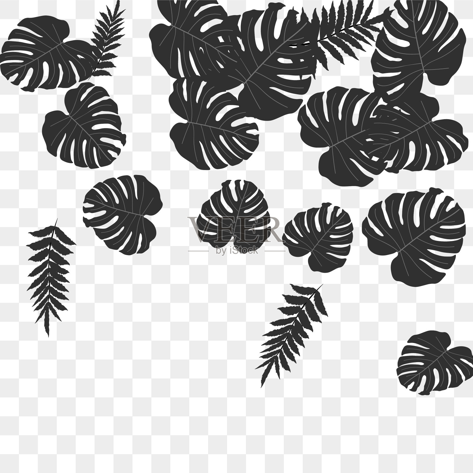 热带模式插画图片素材