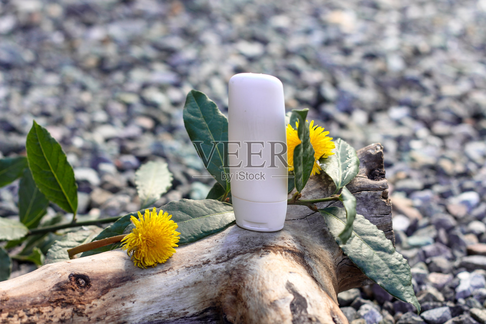 清澈的白色化妆瓶为您的品牌站在木质背景下，周围是黄色的花朵和绿色的叶子照片摄影图片