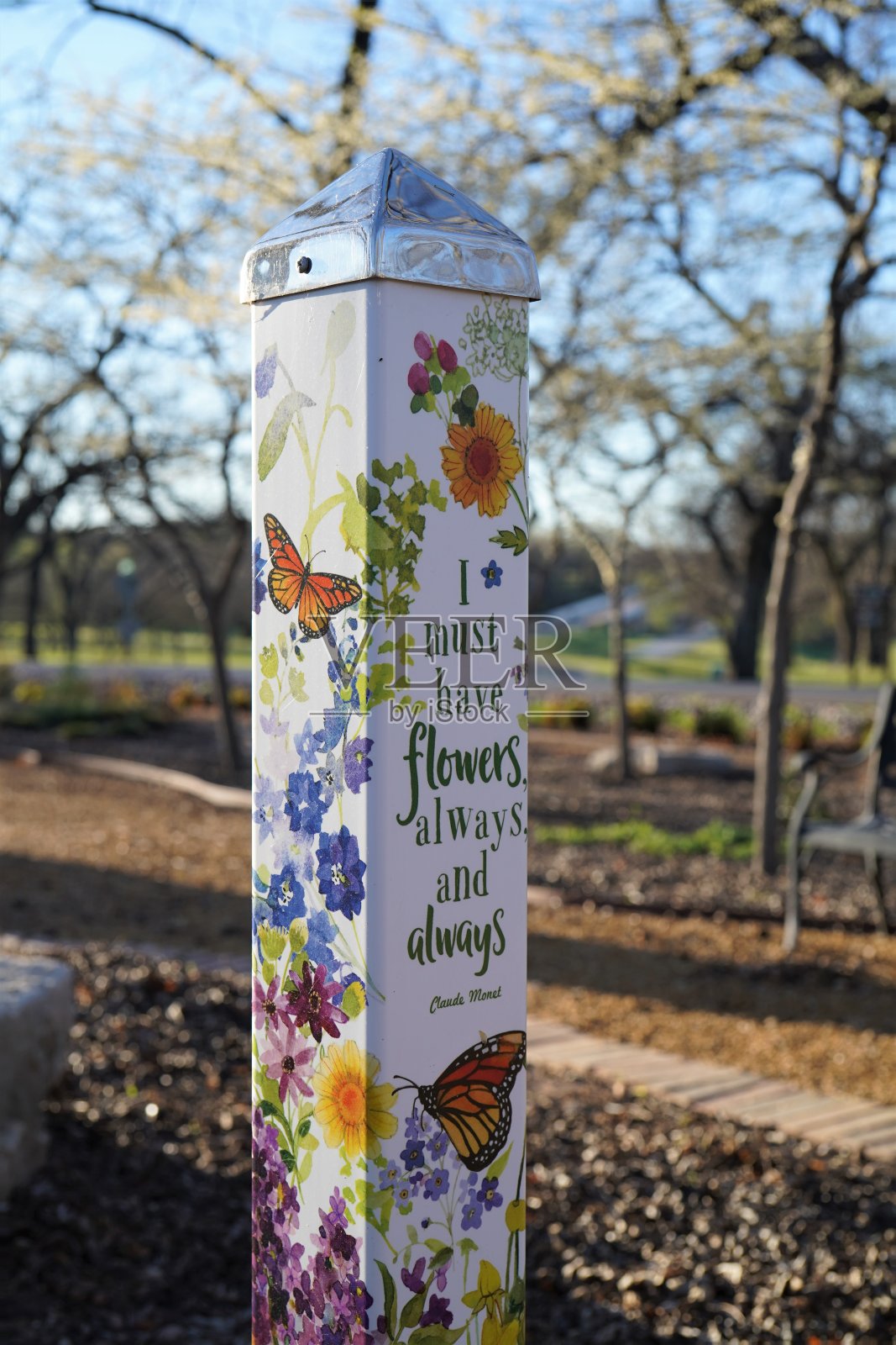 花园篇特写照片摄影图片