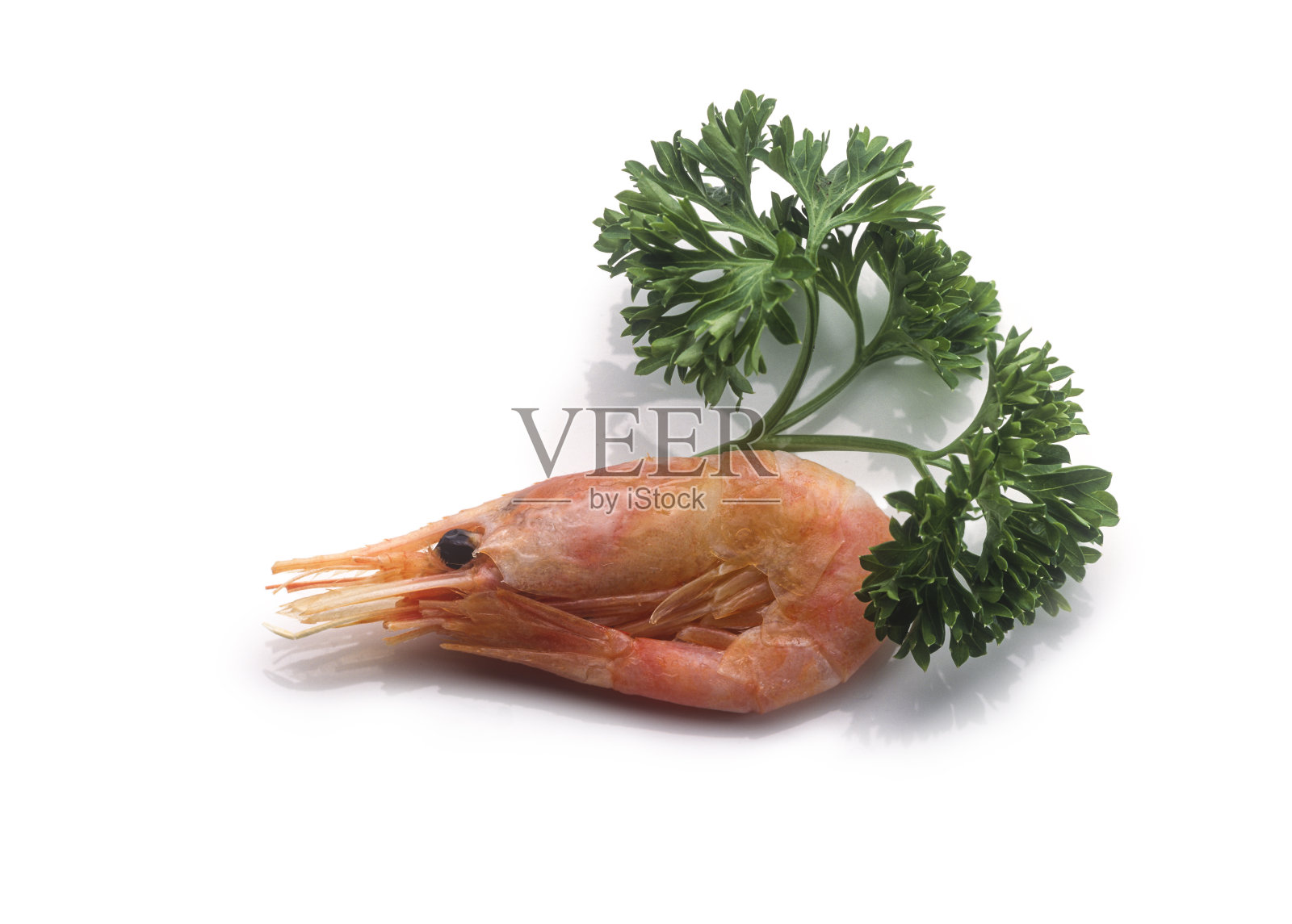 白底煮虾照片摄影图片