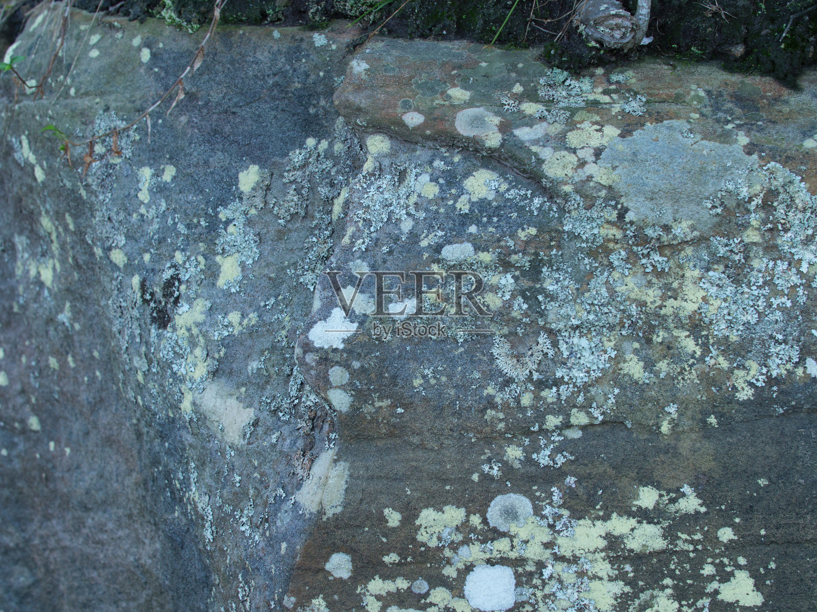 澳大利亚丹格尔岛的石头和地衣的宏观图像照片摄影图片
