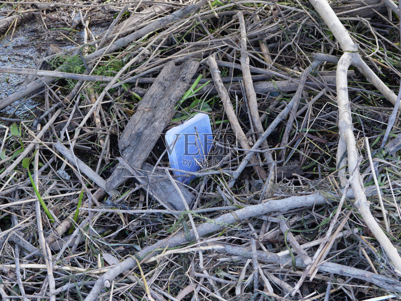 澳大利亚新南威尔士州丹加岛附近洪水后的碎片照片摄影图片