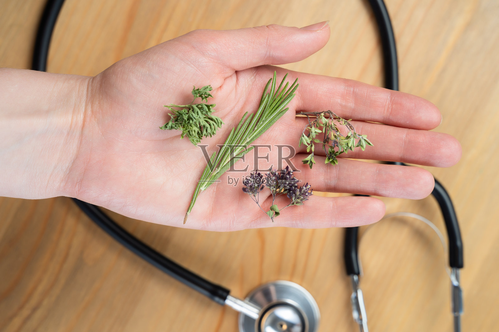 另类保健新鲜草药和胶囊在医生的手在白色的背景。照片摄影图片