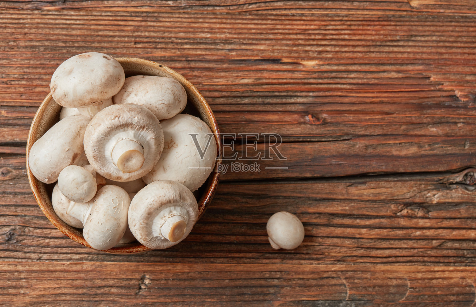 新鲜的全白钮扣蘑菇照片摄影图片