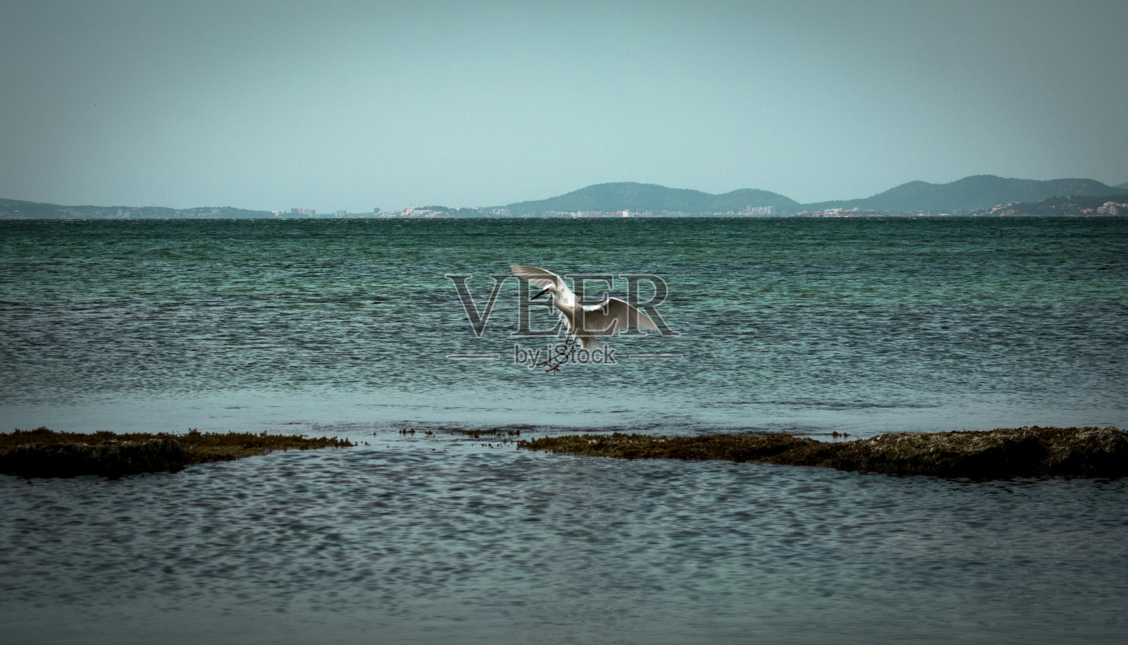 海滩历险记照片摄影图片
