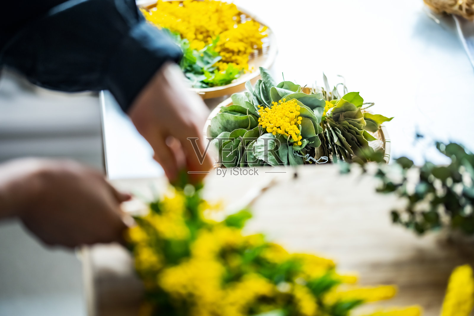 一个女人在做含羞草花束。照片摄影图片