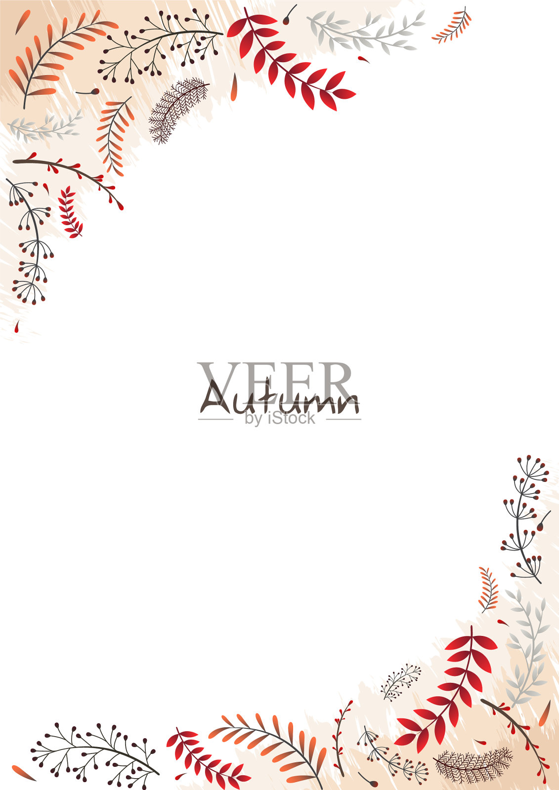 秋季蕨类和杂草植物平面设计框架插画图片素材