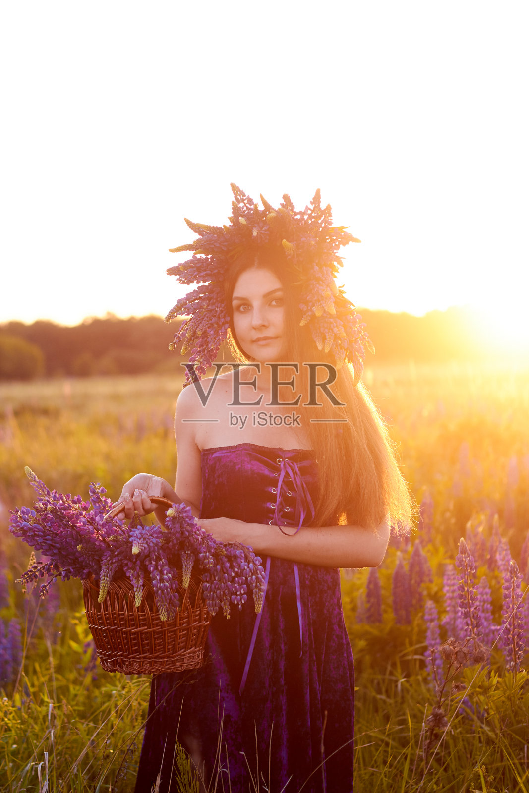 一个头上戴着花环的年轻女孩站在日落时分的田野里，手里拿着一个柳条篮子，里面放着一大束紫色的羽扇花。夏天盛开的田野。照片摄影图片