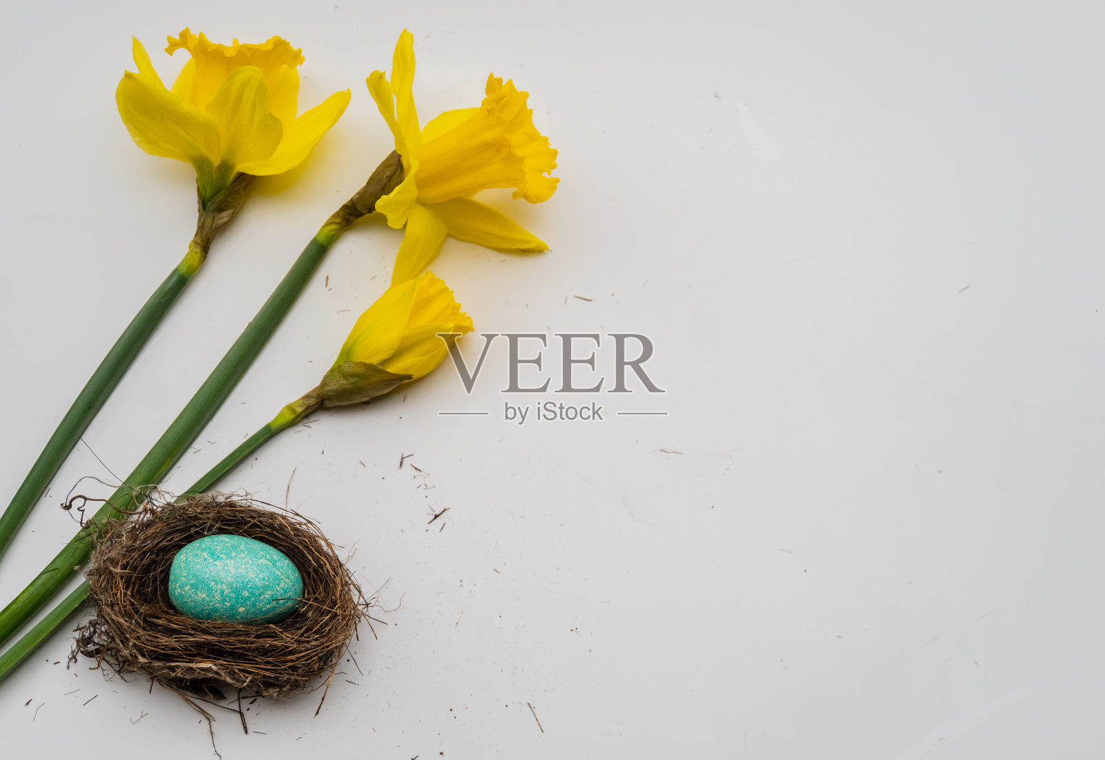 春天的静物照片摄影图片