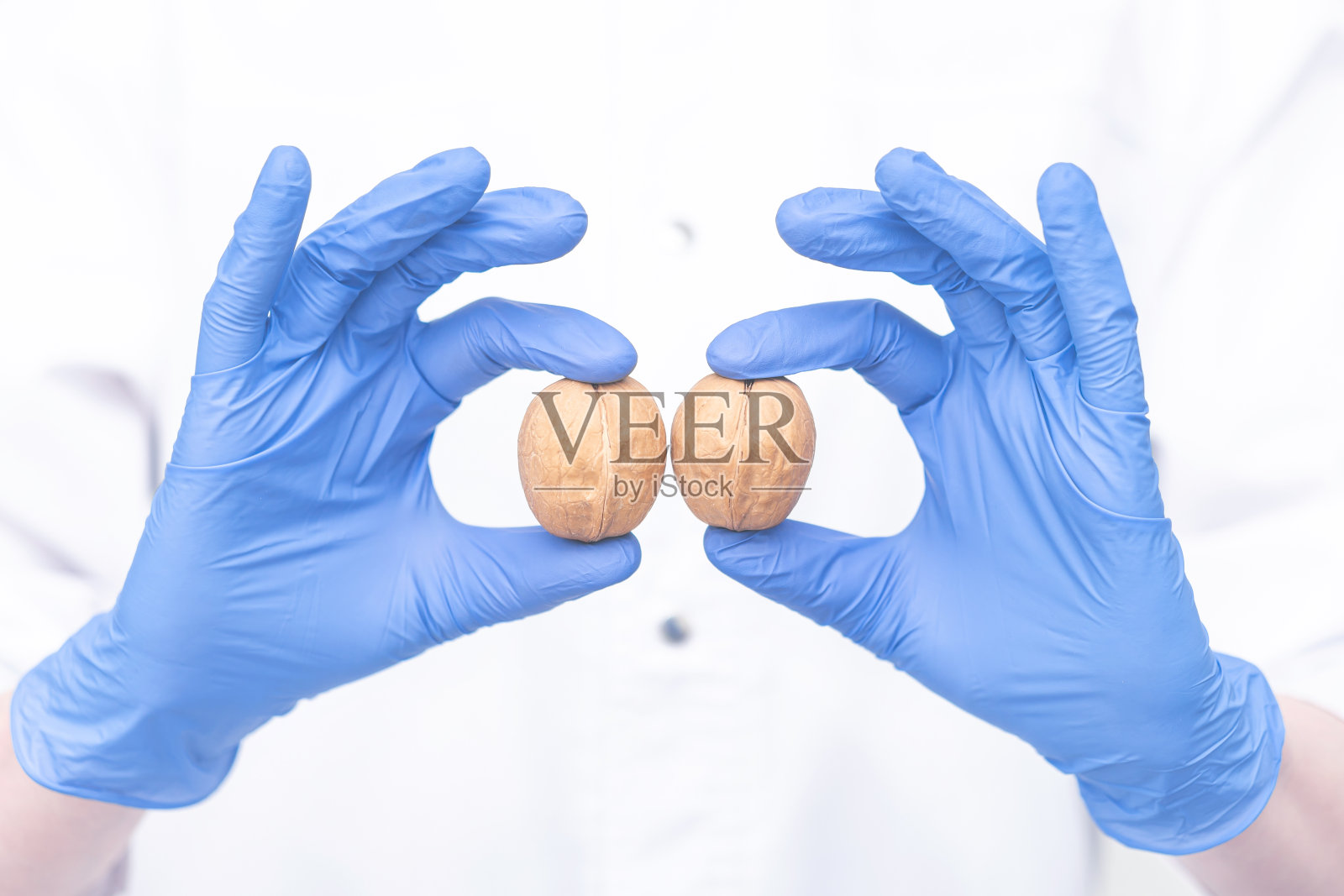 男性睾丸的概念。照片摄影图片