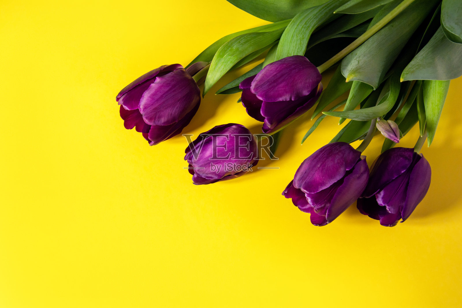 黄色背景上是春天的花束。照片摄影图片